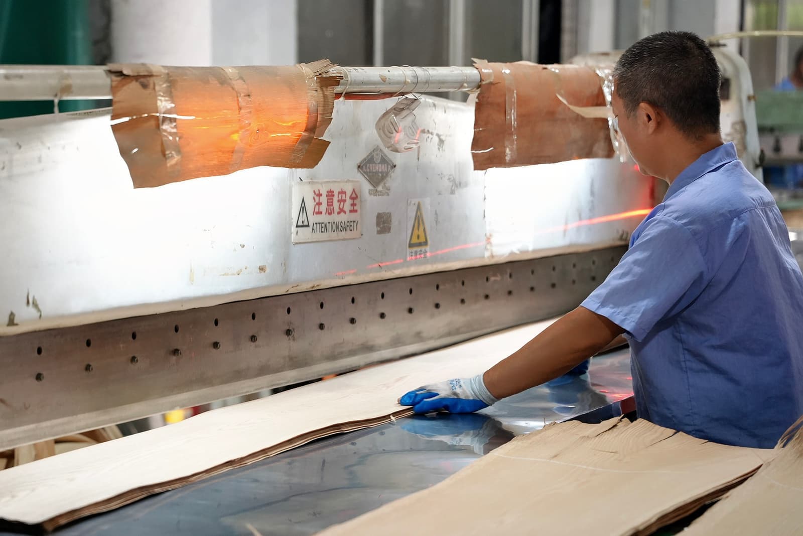 Operator feeding veneer into the guillotine clipper