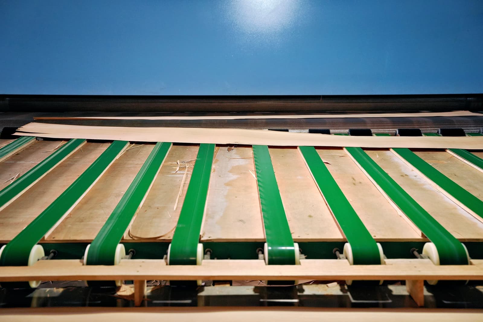 Dried veneer sheets on the outfeed conveyor