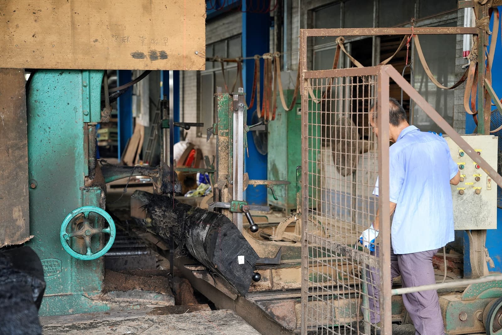 Log on the bandsaw carriage