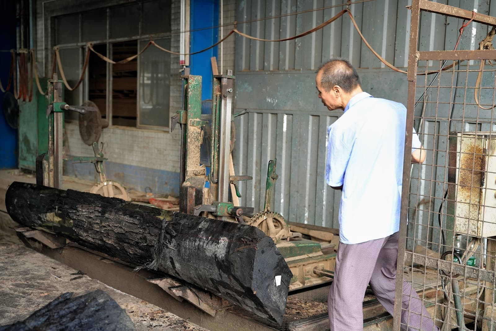 Log intake at the Fuqiao mill in Houjie